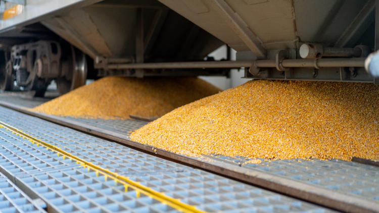 Las terminales de ACA y Cofco en Timbúes ya tienen habilitada una conexión ferroviaria con el Belgrano Cargas