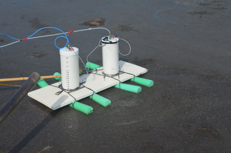 Bosta, eructos, fertilizantes y agua: ¿Qué indicadores se analizan en el INTA Rafaela para medir las culpas de las vacas en el cambio climático?