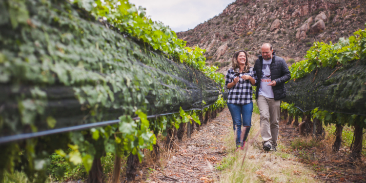 Se viene el Concurso Nacional del Torrontés en La Rioja para elegir a los tres mejores exponentes del vino ideal para tomar en primavera