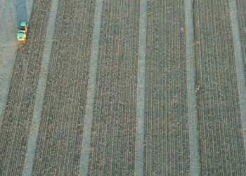 Veremos qué pasa: La noticia ahora es que Bayer y Microsoft se juntan para potenciar la agricultura digital