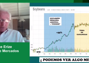 ¿Es una buena idea vender soja 2021/22 con los precios actuales? Erize cree que conviene esperar