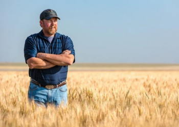 Parece joda: La agencia oficial Télam festeja el trigo de 300 u$s/tonelada en EE.UU. pero se olvida que los productores argentinos reciben menos de la mitad