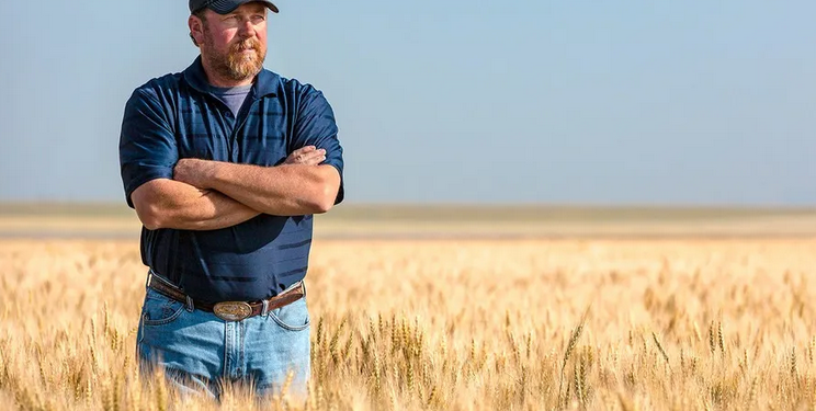 Parece joda: La agencia oficial Télam festeja el trigo de 300 u$s/tonelada en EE.UU. pero se olvida que los productores argentinos reciben menos de la mitad