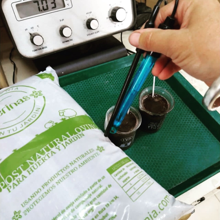 Florencia Andolfatti creó una marca de abonos naturales a partir del compostaje de estiércol de ovejas Merino en Chubut