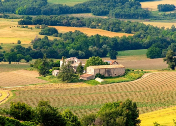 ¿Cuánto vale una hectárea agrícola en Europa? La respuesta te sorprenderá