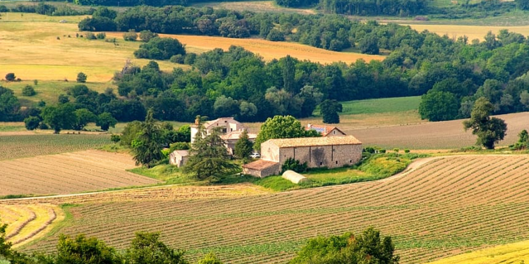 ¿Cuánto vale una hectárea agrícola en Europa? La respuesta te sorprenderá