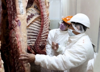 El gobierno usa la agencia oficial para avisar que “no permitirá que se concrete ningún tipo de abuso con los precios de la carne”