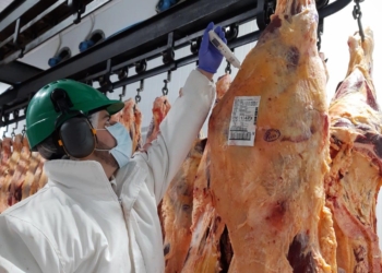 Pasajes para pocos: Los dólares que le faltan al sector turístico podrían ser aportados por el sector cárnico si lo dejasen exportar libremente