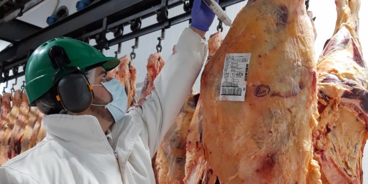 Pasajes para pocos: Los dólares que le faltan al sector turístico podrían ser aportados por el sector cárnico si lo dejasen exportar libremente