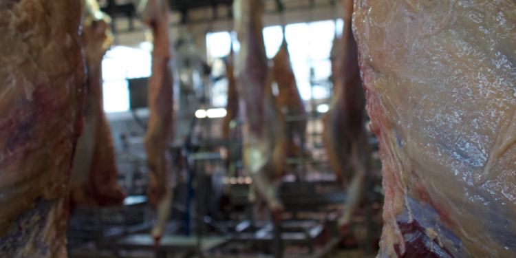 Un relevamiento del Indec muestra con datos contundentes el daño causado por el “cepo cárnico” a la industria frigorífica argentina