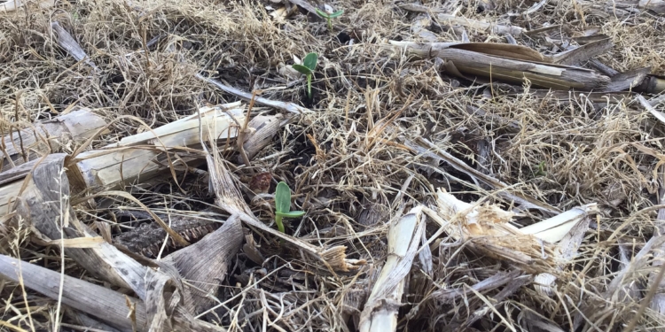 Mientras esperamos que llegue el hidrógeno australiano, Argentina recibe una inversión de 17.300 millones de dólares de una “empresa” ¿Cuál será?