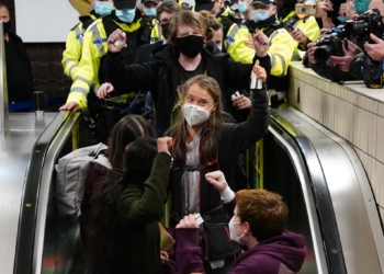 Es bueno saberlo: Comenzó a instrumentarse la acción global destinada a liquidar al sector ganadero