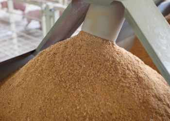 Nuevo escenario ¿Por qué sube la soja en EE.UU. a contramano del resto de los commodities?