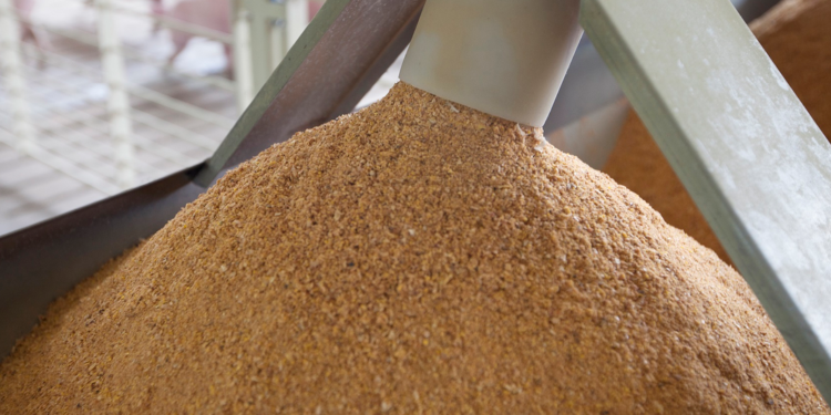 Nuevo escenario ¿Por qué sube la soja en EE.UU. a contramano del resto de los commodities?