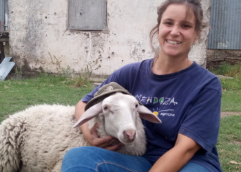 Agustina Córdoba va sorteando obstáculos y mudando sus ovejas para poder cumplir su sueño: montar su pequeña fábrica de quesos