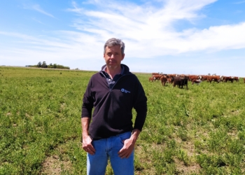 Luciano Nosetti es cuarta generación de productores en Salliqueló y no quiere dejar: Pide a los políticos que entiendan que “la ganadería es muy vulnerable a las decisiones rápidas”