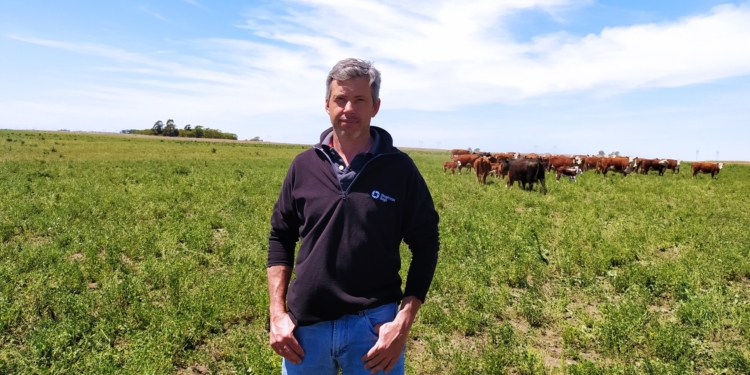 Luciano Nosetti es cuarta generación de productores en Salliqueló y no quiere dejar: Pide a los políticos que entiendan que “la ganadería es muy vulnerable a las decisiones rápidas”
