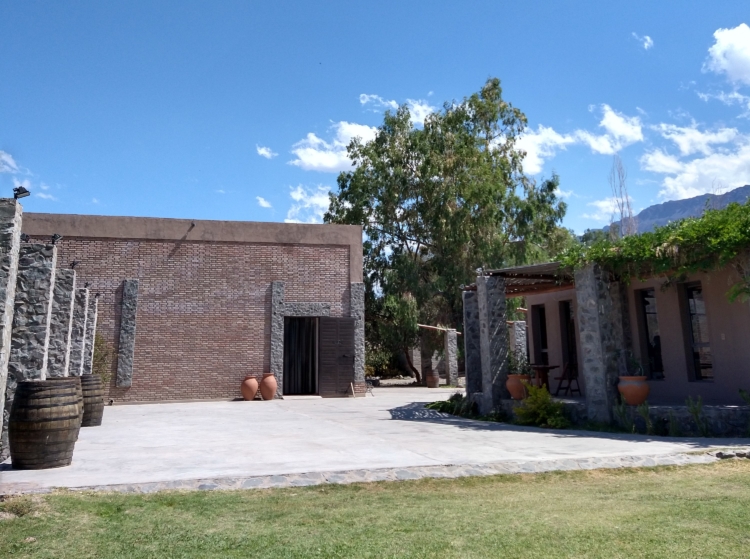Al pie de las Sierras Azules, Gustavo Uajardo vela por la producción de los vinos Summus, que ya llevan ganados más de 40 medallas