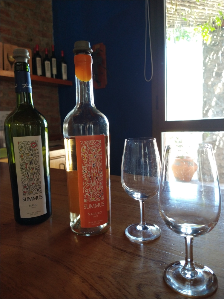 Al pie de las Sierras Azules, Gustavo Uajardo vela por la producción de los vinos Summus, que ya llevan ganados más de 40 medallas