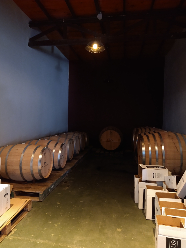 Al pie de las Sierras Azules, Gustavo Uajardo vela por la producción de los vinos Summus, que ya llevan ganados más de 40 medallas