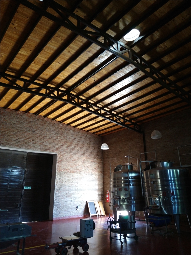 Al pie de las Sierras Azules, Gustavo Uajardo vela por la producción de los vinos Summus, que ya llevan ganados más de 40 medallas