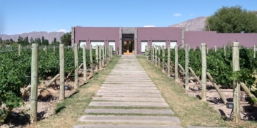 Al pie de las Sierras Azules, Gustavo Uajardo vela por la producción de los vinos Summus, que ya llevan ganados más de 40 medallas