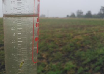 Siguen los aportes de lluvias, pero para la semana que viene se cortan en la región pampeana