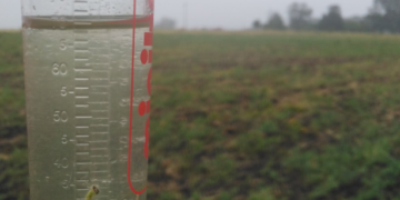 Siguen los aportes de lluvias, pero para la semana que viene se cortan en la región pampeana