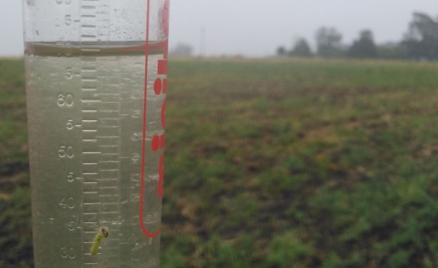 Siguen los aportes de lluvias, pero para la semana que viene se cortan en la región pampeana