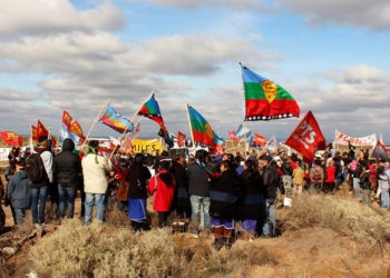 Advierten que la semana que viene se intentará prorrogar por cuarta vez una ley que facilita las usurpaciones de campos