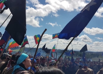 Héctor Hernández Vieyra fundó el Foro de Seguridad Rural porque no tiene dudas: Con el disfraz de lo “originario”, hay organizaciones que quieren apropiarse de parte del territorio argentino