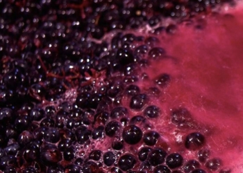 ¿Sabías que la Argentina es el principal exportador mundial de jugo concentrado de uva?