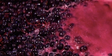 ¿Sabías que la Argentina es el principal exportador mundial de jugo concentrado de uva?