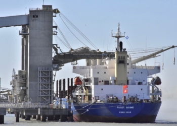 En lo que va del año la liquidación de agrodivisas alcanzó un récord histórico absoluto de 28.000 millones de dólares