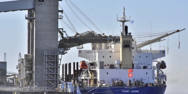 En lo que va del año la liquidación de agrodivisas alcanzó un récord histórico absoluto de 28.000 millones de dólares