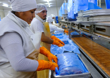 Crónicas Robadas: Empresas españolas invierten en Paraguay para agregar valor al langostino pescado en aguas argentinas