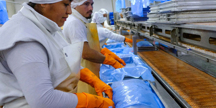 Crónicas Robadas: Empresas españolas invierten en Paraguay para agregar valor al langostino pescado en aguas argentinas