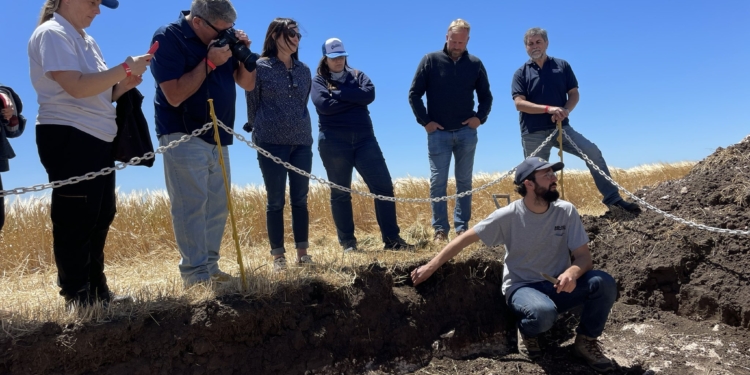 Agroempresas: Cervecería y Maltería Quilmes apuesta a la agricultura sustentable