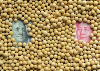 Un gráfico clave para explicar porqué la soja es la única moneda presente en la economía argentina