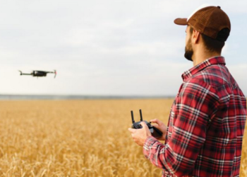 Vuelan los precios del trigo en el mundo (en realidad en las naciones que tienen una economía de mercado)