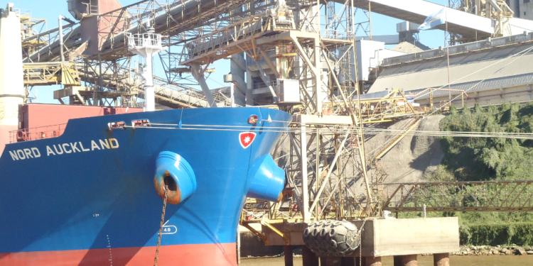 Buena noticia: El Ministerio de Agricultura está evaluando ampliar el cupo de exportación de maíz 2020/21