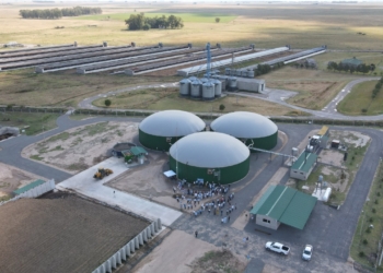 En la Argentina ya funcionan 27 plantas de biogás: ¿Con qué se alimentan y qué subproductos generan?