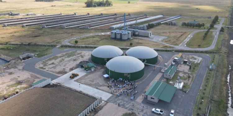 En la Argentina ya funcionan 27 plantas de biogás: ¿Con qué se alimentan y qué subproductos generan?