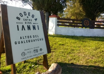 Néstor Ianni dejó su vida de ciudad para ir a hacer su propio vino: “Entendí que no puedo esperar a que las cosas cambien afuera para sentirme mejor yo”