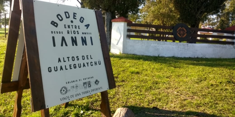 Néstor Ianni dejó su vida de ciudad para ir a hacer su propio vino: “Entendí que no puedo esperar a que las cosas cambien afuera para sentirme mejor yo”