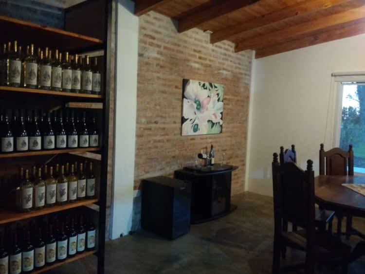 Néstor Ianni dejó su vida de ciudad para ir a hacer su propio vino: “Entendí que no puedo esperar a que las cosas cambien afuera para sentirme mejor yo”