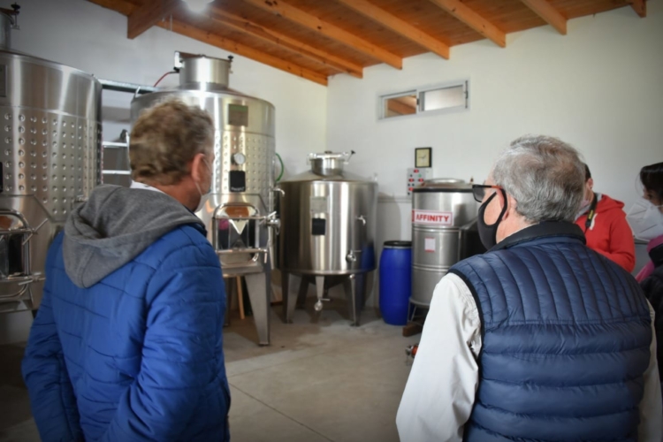 Néstor Ianni dejó su vida de ciudad para ir a hacer su propio vino: “Entendí que no puedo esperar a que las cosas cambien afuera para sentirme mejor yo”