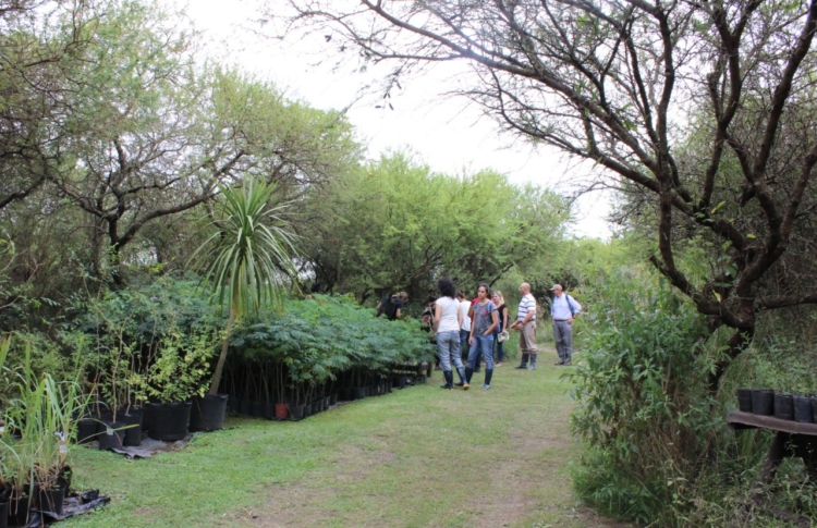 Donde antes había vacas ahora hay una reserva privada: “Dejamos que la tierra cicatrizara”, dicen los Powell