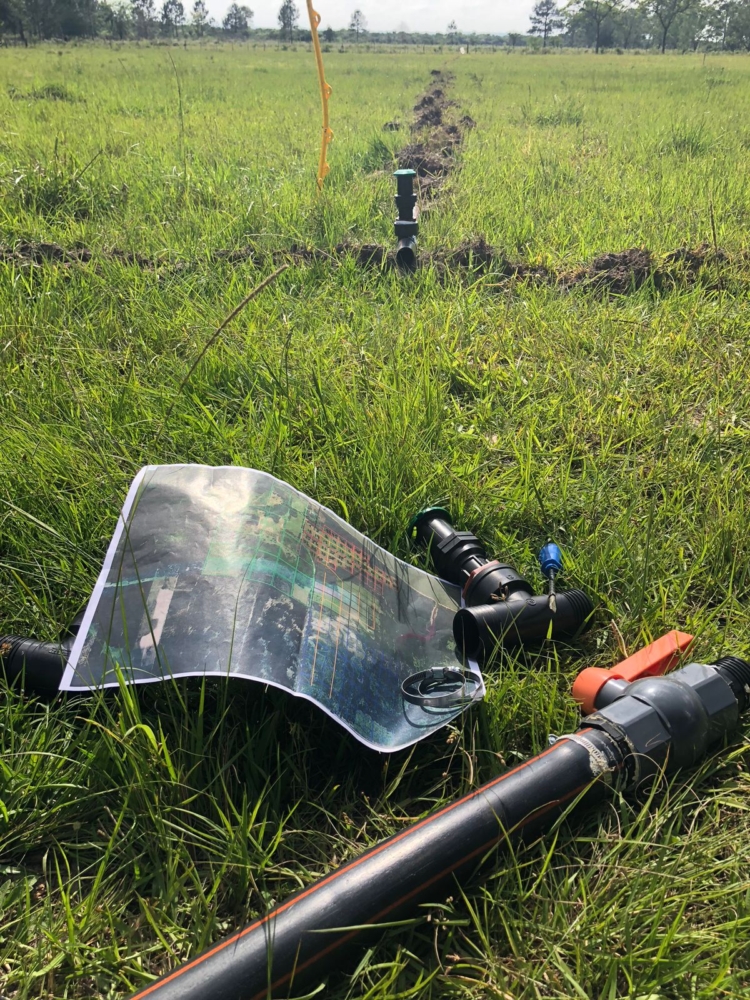 Alejandro salvó el campo familiar con pastoreo racional y terminó enseñando sobre ganadería regenerativa: “A mi viejo le hubiera venido bárbaro el curso”