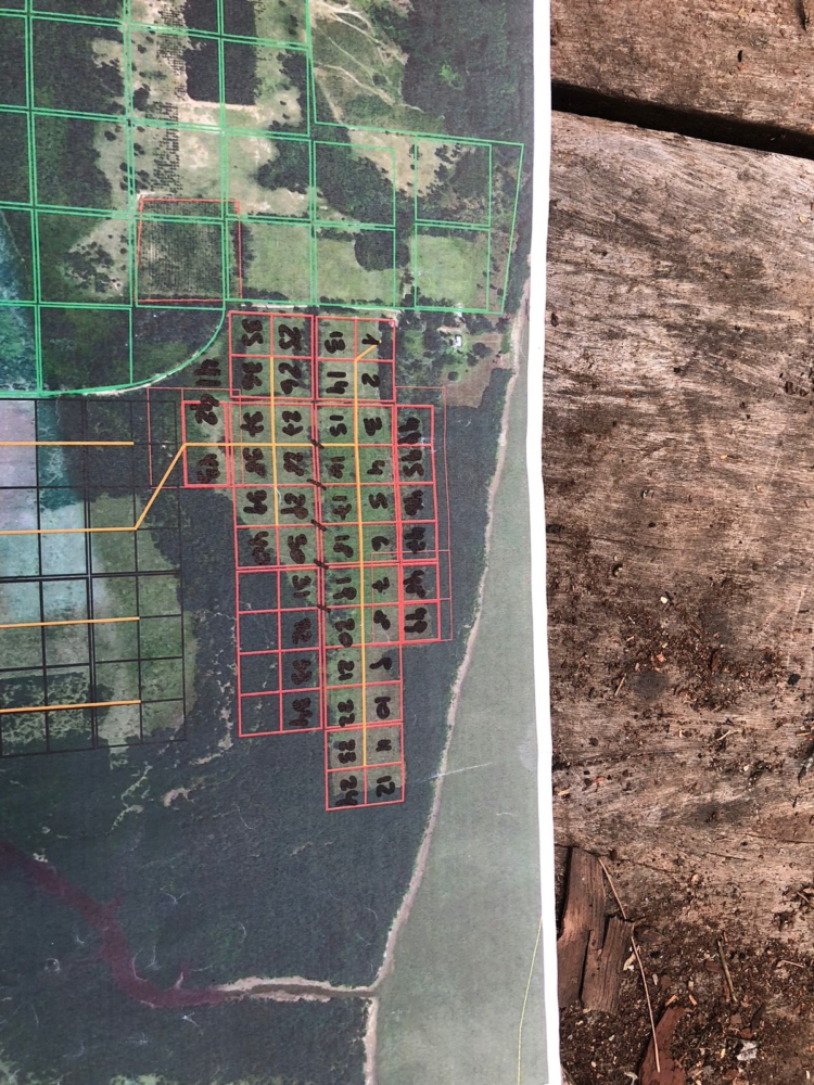 Alejandro salvó el campo familiar con pastoreo racional y terminó enseñando sobre ganadería regenerativa: “A mi viejo le hubiera venido bárbaro el curso”